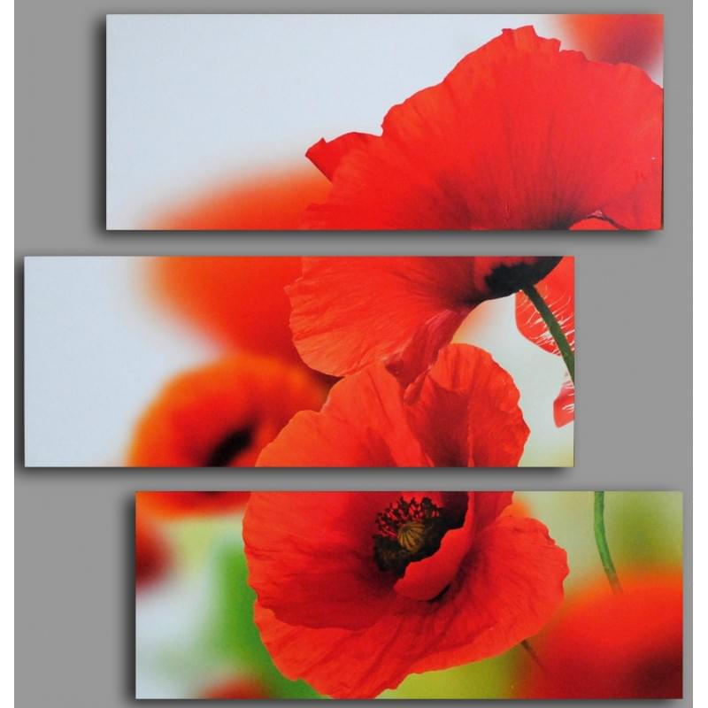 Třidílný dekorační obraz s motivem květin - 3D_6060_00003